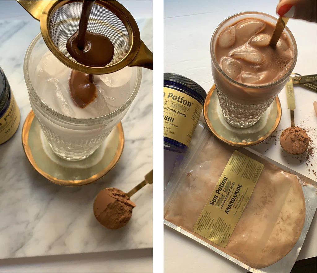 Reishi Mushroom Powder Sun Potion