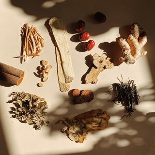 What Are Adaptogens? Complete Guide to Adaptogenic Herbs