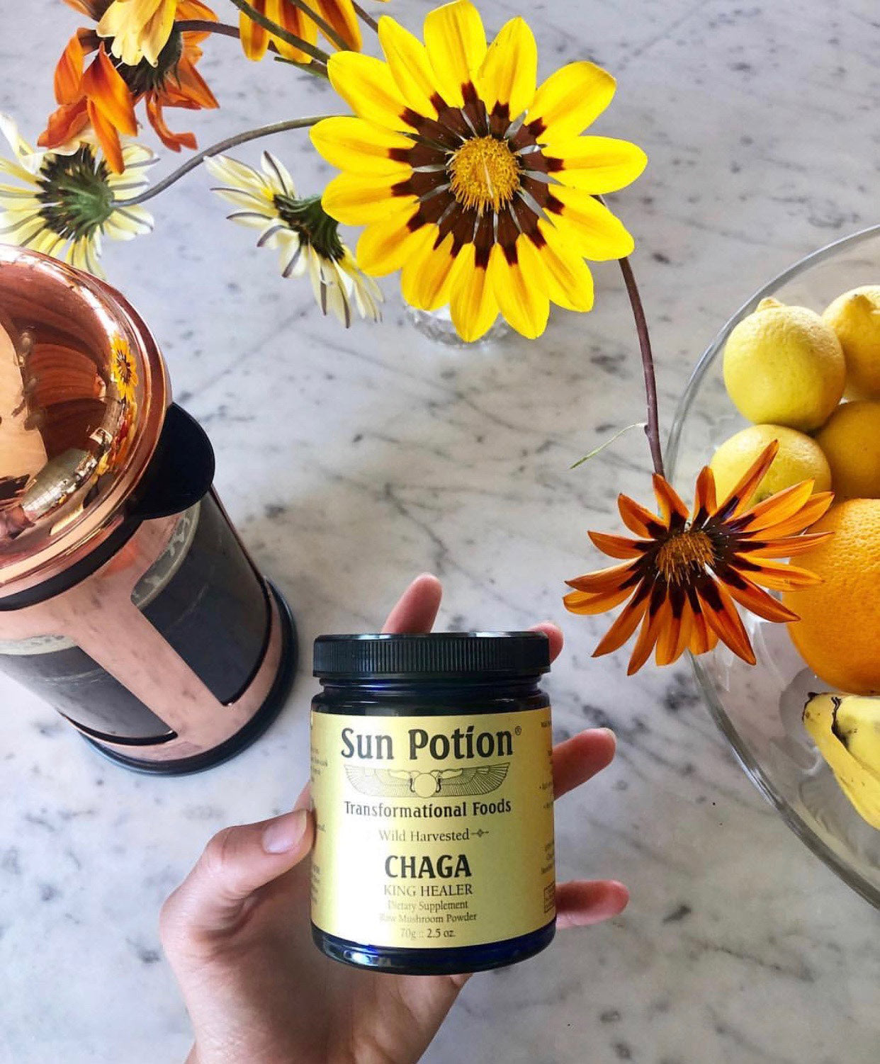 What’s the best way to prepare Chaga? – Sun Potion