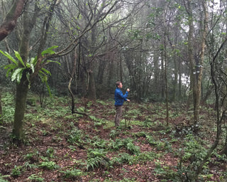 COLIN HUDON / CREATOR OF LIVING TEA