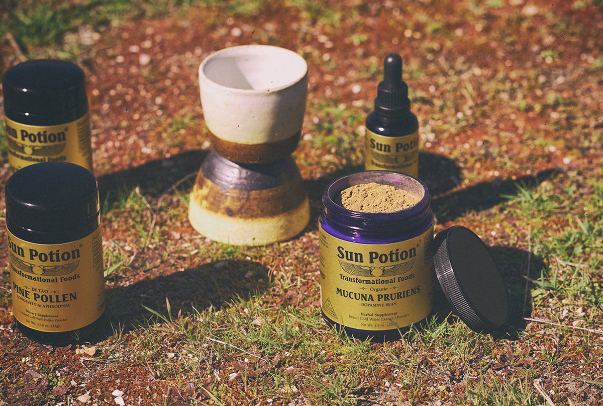UPCOMING EVENTS - Sun Potion
