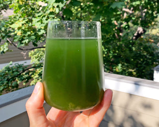 SOLAR MEDITATIONS WITH CHLORELLA - Sun Potion
