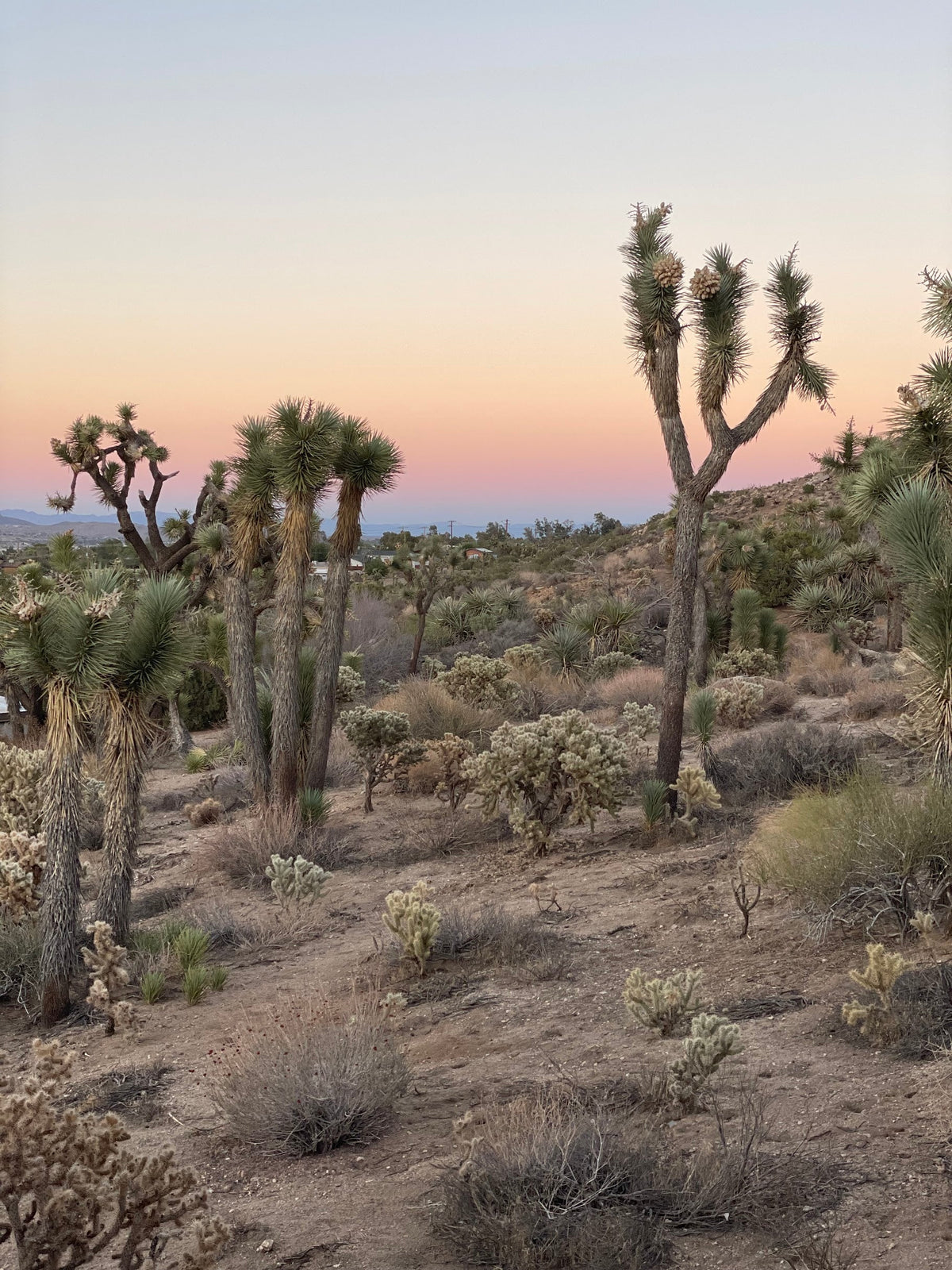 Nurture Your Nature Retreat: A Recap with Aimee Binder & Melissa Schwimmer - Sun Potion