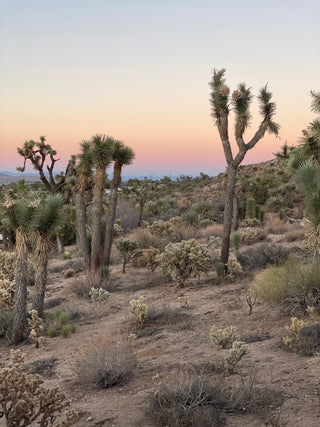 Nurture Your Nature Retreat: A Recap with Aimee Binder & Melissa Schwimmer - Sun Potion