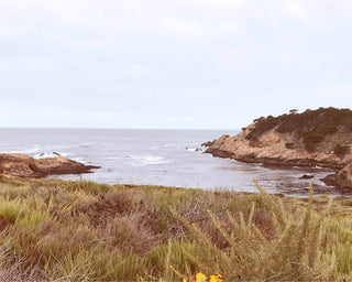 RITUALS FOR THE WORK TRAVELER