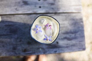 SPROUTED ALMOND MILK HERBAL MOCHA - Sun Potion
