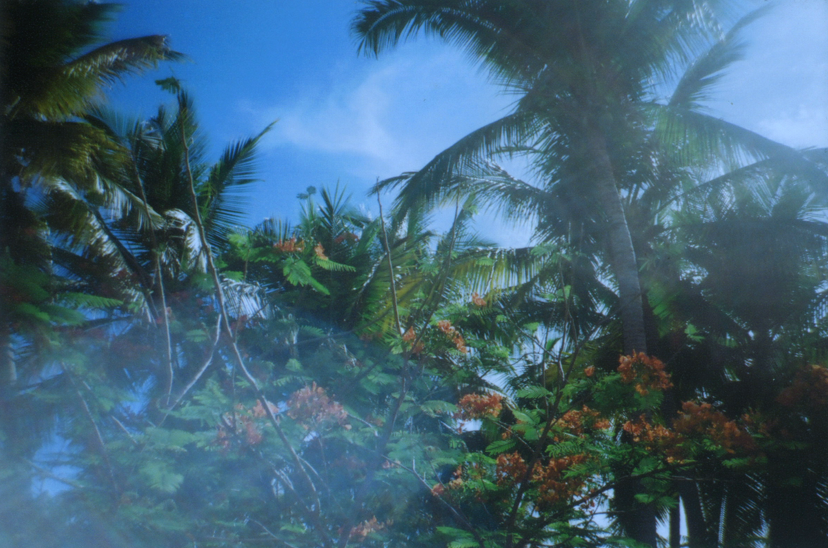 PUERTO ESCONDIDO - Sun Potion