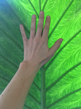 Laura Johnson - Sun Potion