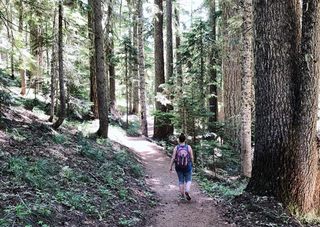 HANDLING GRIEF THROUGH MINDFULNESS