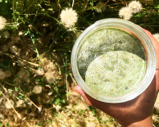 SKIN NURTURING SMOOTHIE - Sun Potion