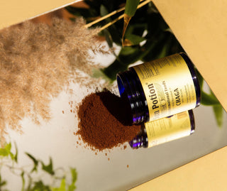 Chaga Mushroom Powder - Stylized Photograph