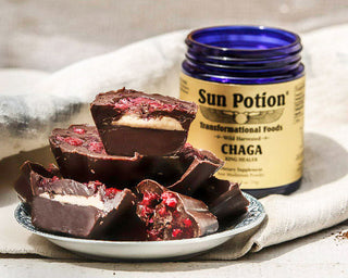 CHAGA CACAO BITES - Sun Potion