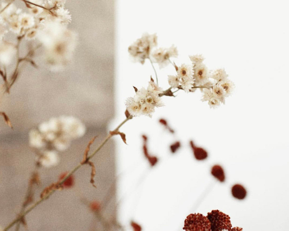 FIVE TIPS FOR DIGESTION + DETOX - Sun Potion