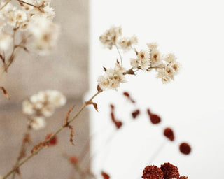 FIVE TIPS FOR DIGESTION + DETOX - Sun Potion