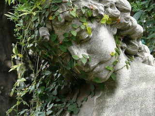 INTUITIVE WRITING #12: RITUALS OF EARTH - Sun Potion