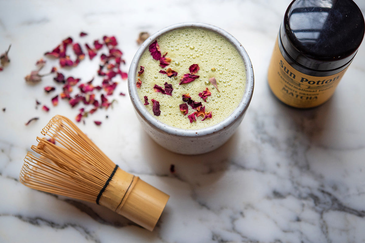 WHITE DRAGON MATCHA & GINGER LATTE - Sun Potion