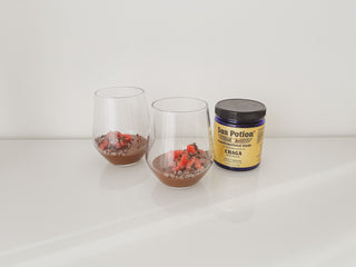CHAGA MUSHROOM CACAO COCONUT GANACHE - Sun Potion