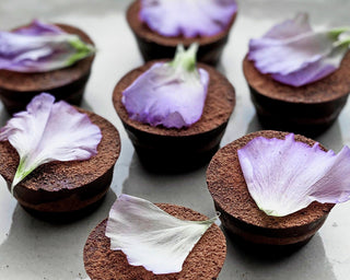 HERBAL CHOCOLATE CUPS - Sun Potion
