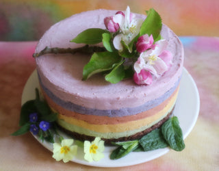 RAINBOW CAKE - Sun Potion