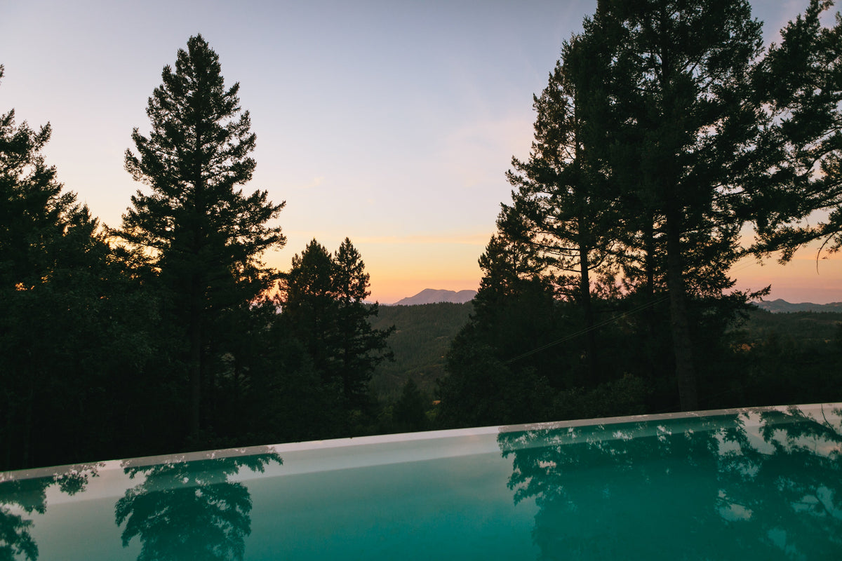 ON THE ULTIMATE IMMERSION EXPERIENCE | A Conversation With Scott Linde and Joe DiStefano of RUNGA - Sun Potion