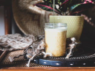 MY HERBAL ALLY: PINE POLLEN + PINE POLLEN OXYMEL