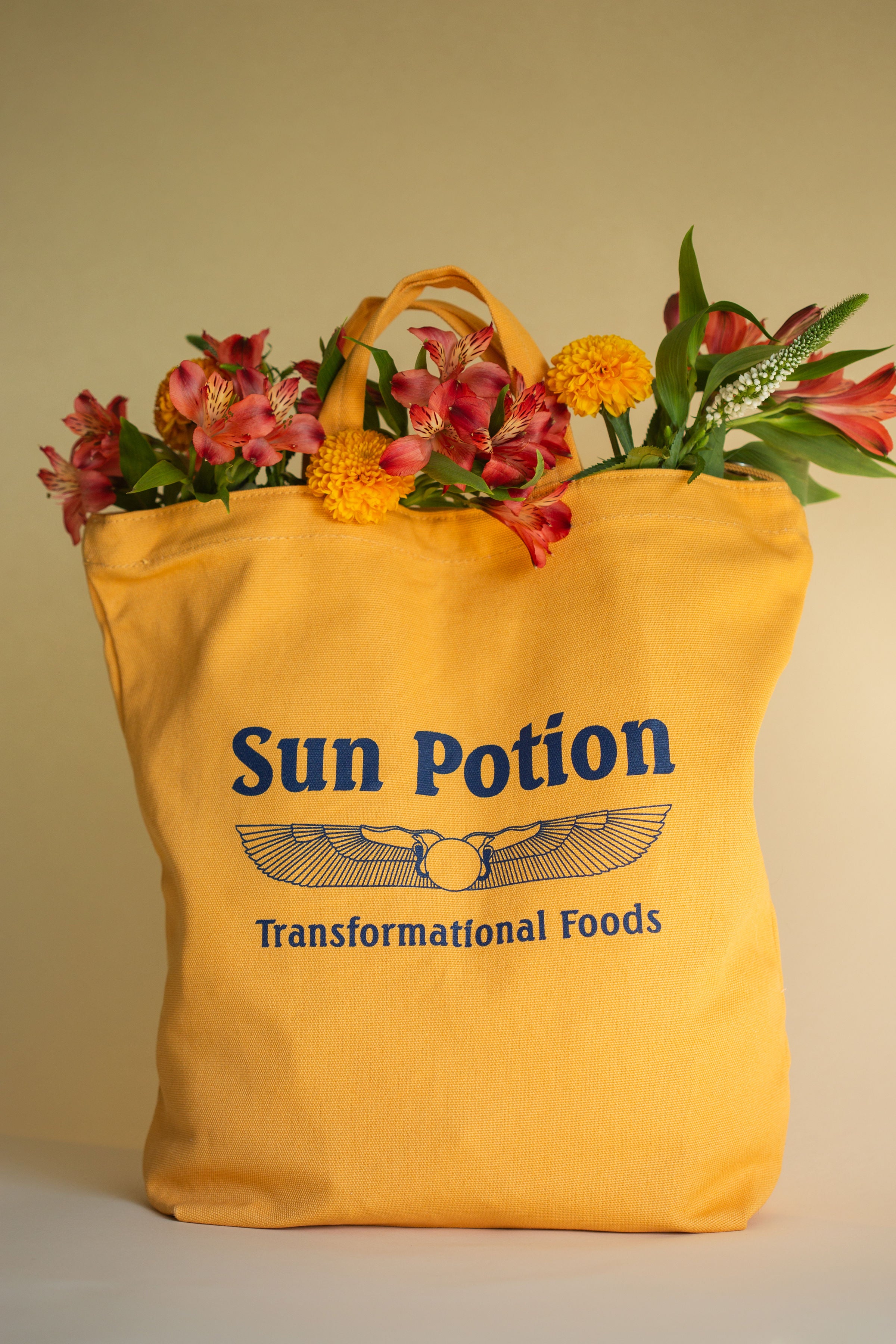 Natural Supplements & Superfoods Collection – Page 3 – Sun Potion