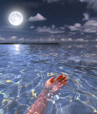 Clarity & Mood — Adaptogens for Focus & Emotional Balance - Sun Potion