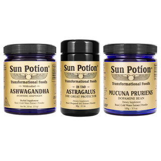 Brain + Mood Kit - Sun Potion