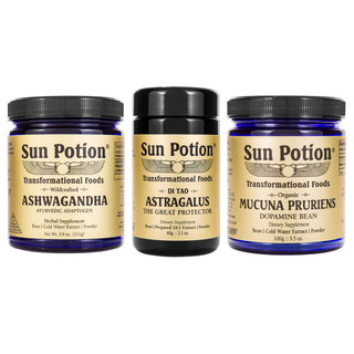Brain + Mood Kit - Sun Potion