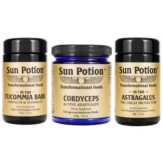 Fitness Kit - Sun Potion