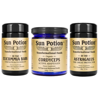 Fitness Kit - Sun Potion