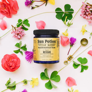 Organic Reishi Mushroom Powder (Standard + Travel Pair) - Sun Potion
