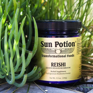 Reishi Mushroom Powder - Sun Potion