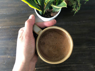 Triphala (Cold Water Extract Powder)
