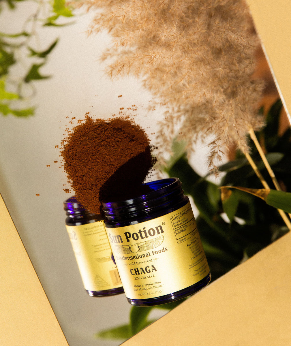 Chaga Mushroom Powder (Wildcrafted) Sun Potion