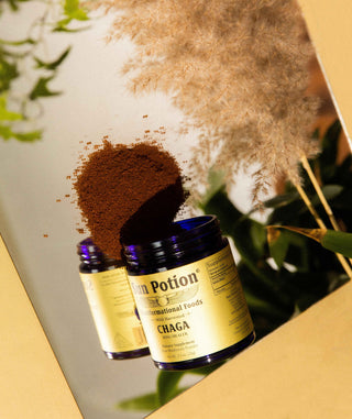 Sun Potion Chaga (Wildcrafted) mushroom powder jar — Mushroom Set