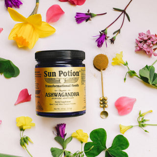 Female Kit - Sun Potion