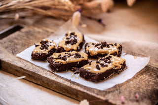 Organic Reishi Mushroom Powder (Standard + Travel Pair)