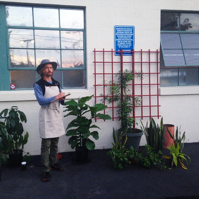 Friday plant-watering at the warehouse, 2015