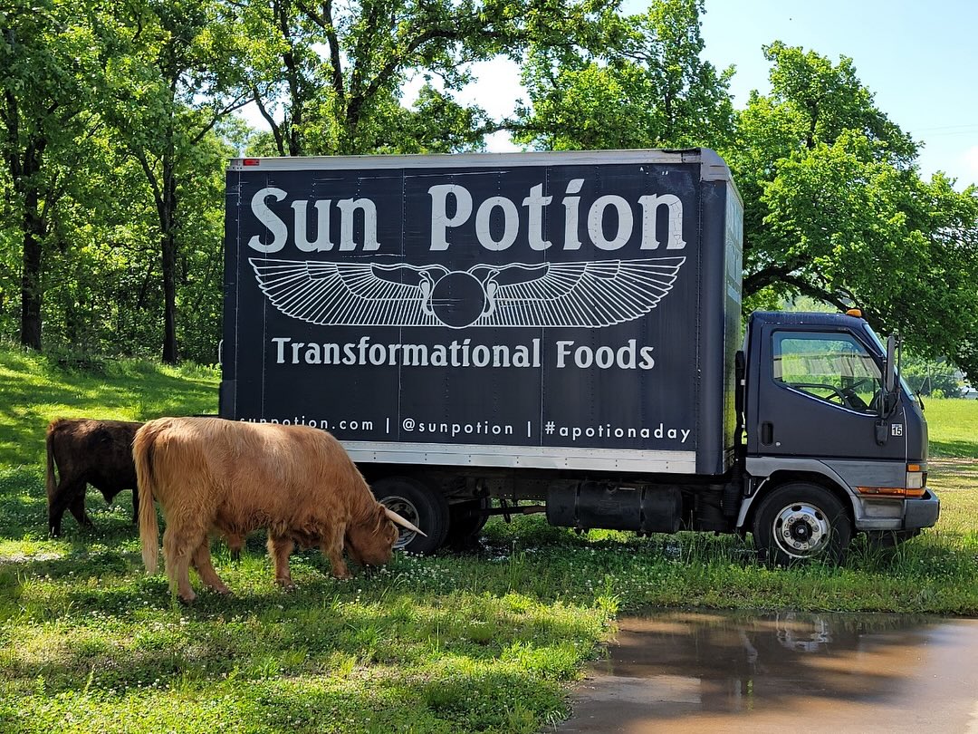 The Sun Potion box truck and the herd, 2025
