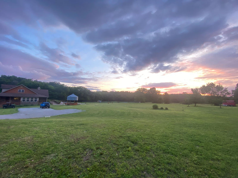 Dusk over the pasture, 2025