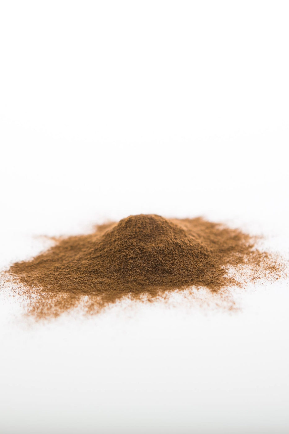 Chaga Mushroom Powder (Wildcrafted)