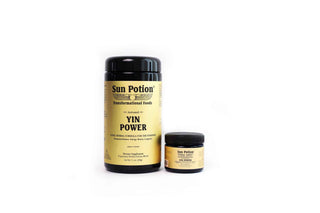 Yin Power - Travel Ally Edition